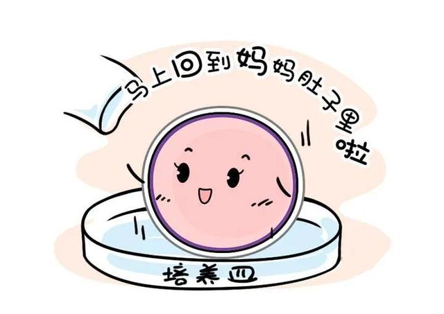 做试管婴儿后要躺着吗(移植后不能走路)