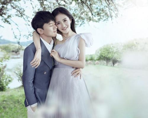 谢娜试管婴儿