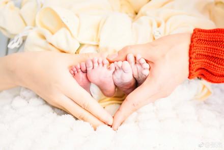 谢娜试管婴儿