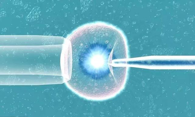 贵阳医学院试管婴儿成功率贵阳做试管婴儿哪家成功率高