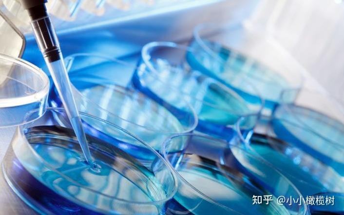 石家庄第三代试管婴儿(石家庄做试管哪里最好)