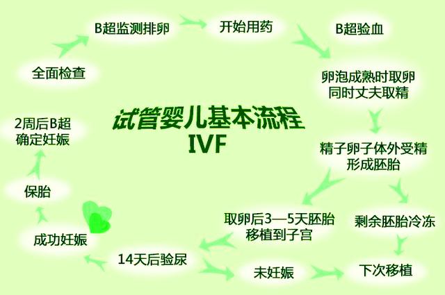 马来西亚试管婴儿 马来西亚试管婴儿