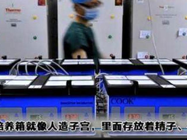 试管婴儿放进子宫图 试管婴儿放进子宫图