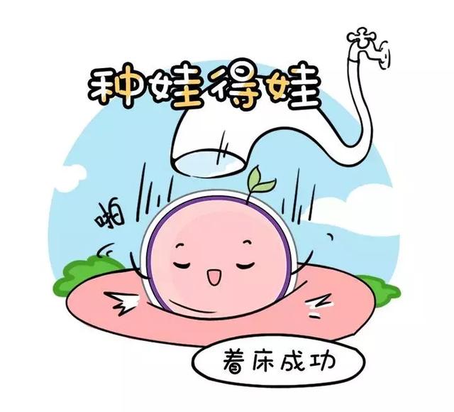 那家医院试管婴儿比较好 那家医院试管婴儿比较好