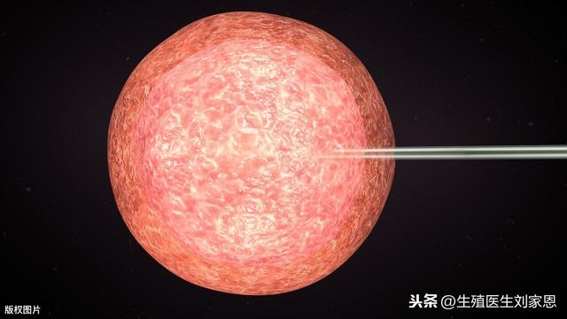 试管婴儿多次失败原因 试管婴儿多次失败原因