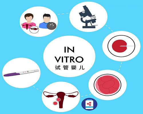 武汉做一个试管婴儿多少钱武汉同济医院做试管婴儿多少钱