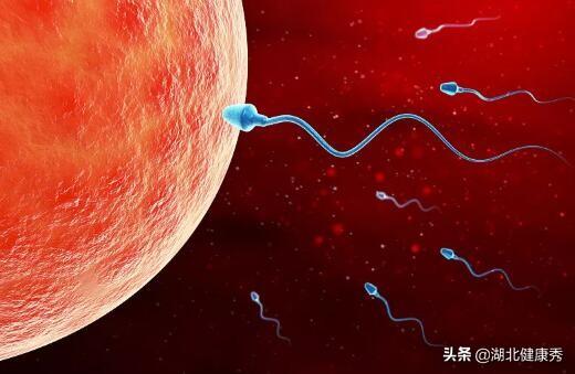 试管婴儿几月份移植成功率高 试管婴儿几月份移植成功率高