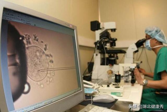 试管婴儿几月份移植成功率高 试管婴儿几月份移植成功率高