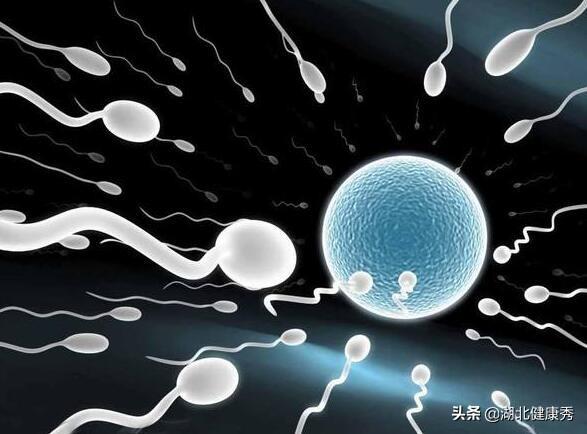 试管婴儿几月份移植成功率高 试管婴儿几月份移植成功率高