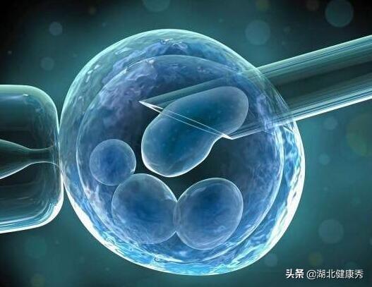 试管婴儿几月份移植成功率高 试管婴儿几月份移植成功率高