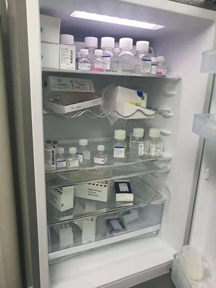 重庆试管婴儿 重庆试管婴儿