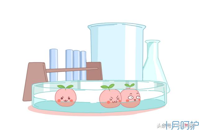 试管婴儿PPD