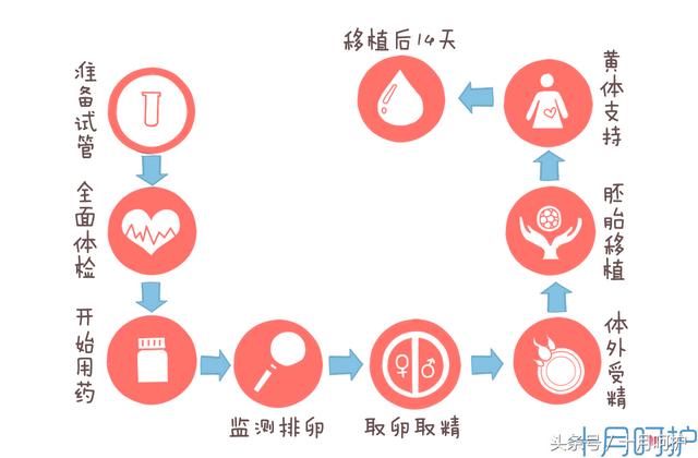 试管婴儿PPD