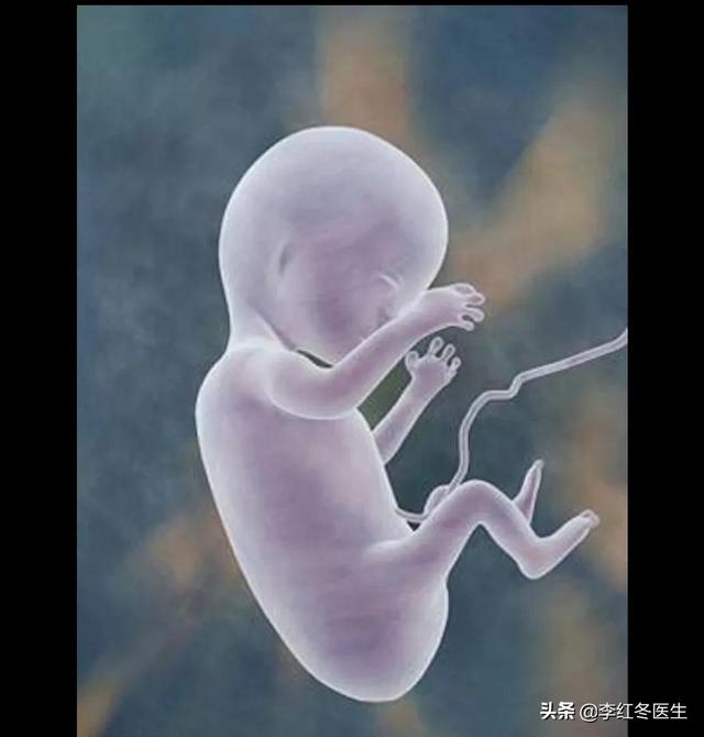 试管婴儿违法吗 试管婴儿违法吗