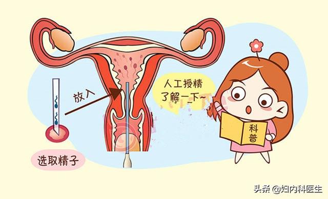 试管婴儿的精子卵子质量用别人的卵子做试管条件