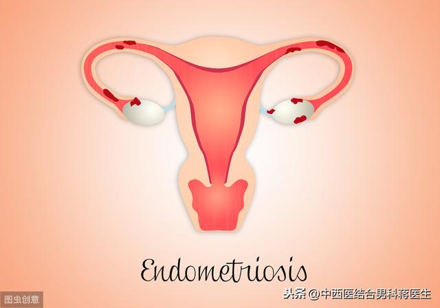子宫内膜与试管婴儿(子宫内膜14mm说明什么)