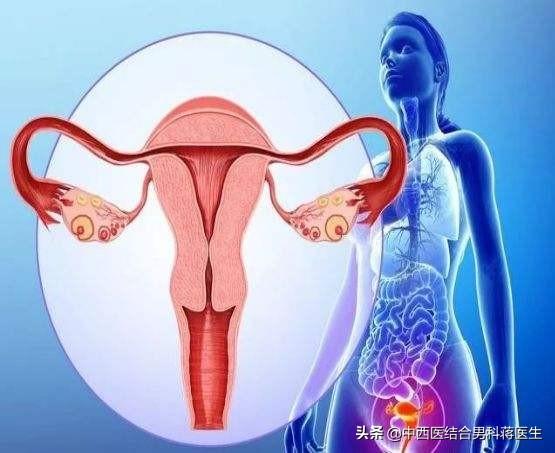 子宫内膜与试管婴儿 子宫内膜与试管婴儿