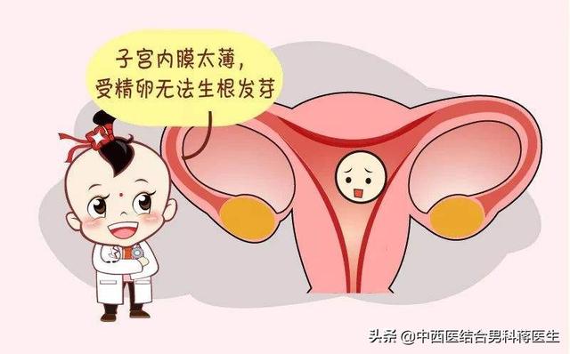 子宫内膜与试管婴儿 子宫内膜与试管婴儿