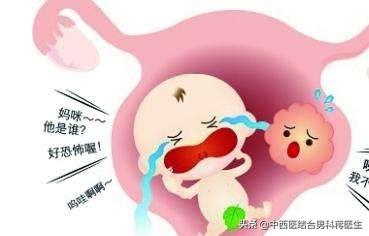 子宫内膜与试管婴儿 子宫内膜与试管婴儿