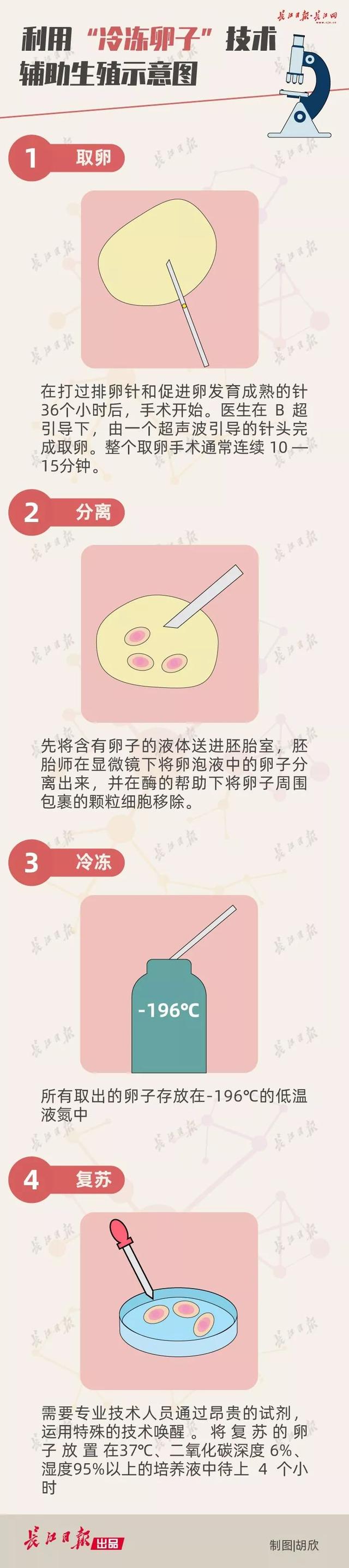 武汉试管婴儿费用 武汉试管婴儿费用