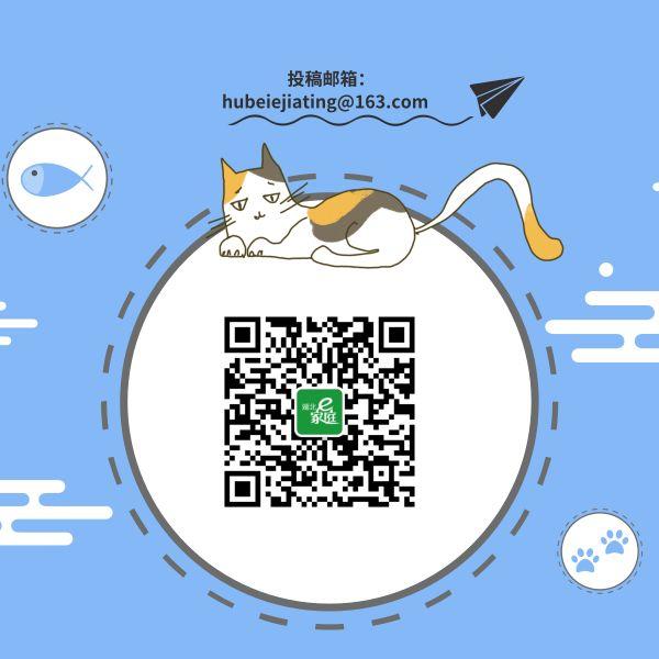 武汉试管婴儿费用 武汉试管婴儿费用