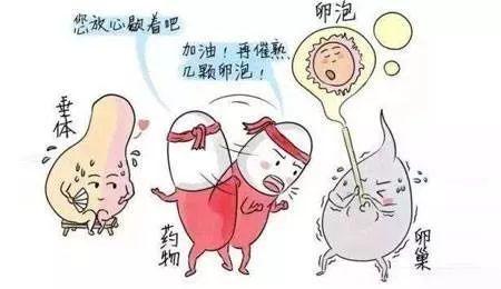 妇幼试管婴儿过程 妇幼试管婴儿过程