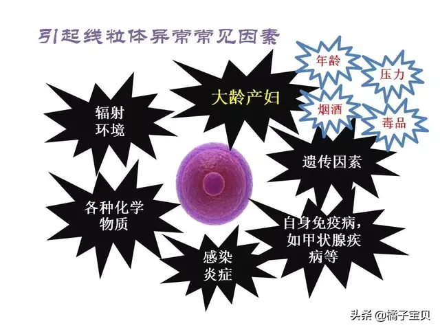 q10辅酶试管婴儿 q10辅酶试管婴儿