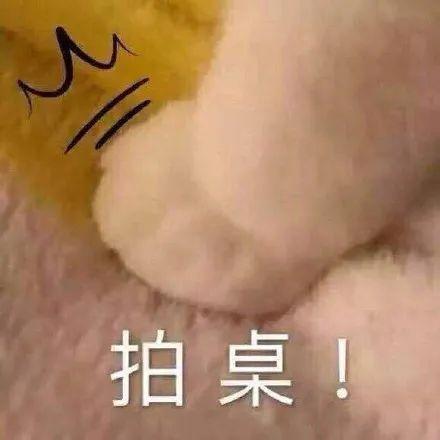 试管婴儿上海一妇婴 试管婴儿上海一妇婴