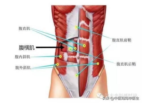 试管婴儿针灸 试管婴儿针灸