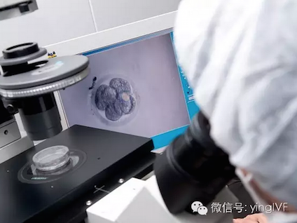试管婴儿第六天(试管移植第六天能测出来吗)