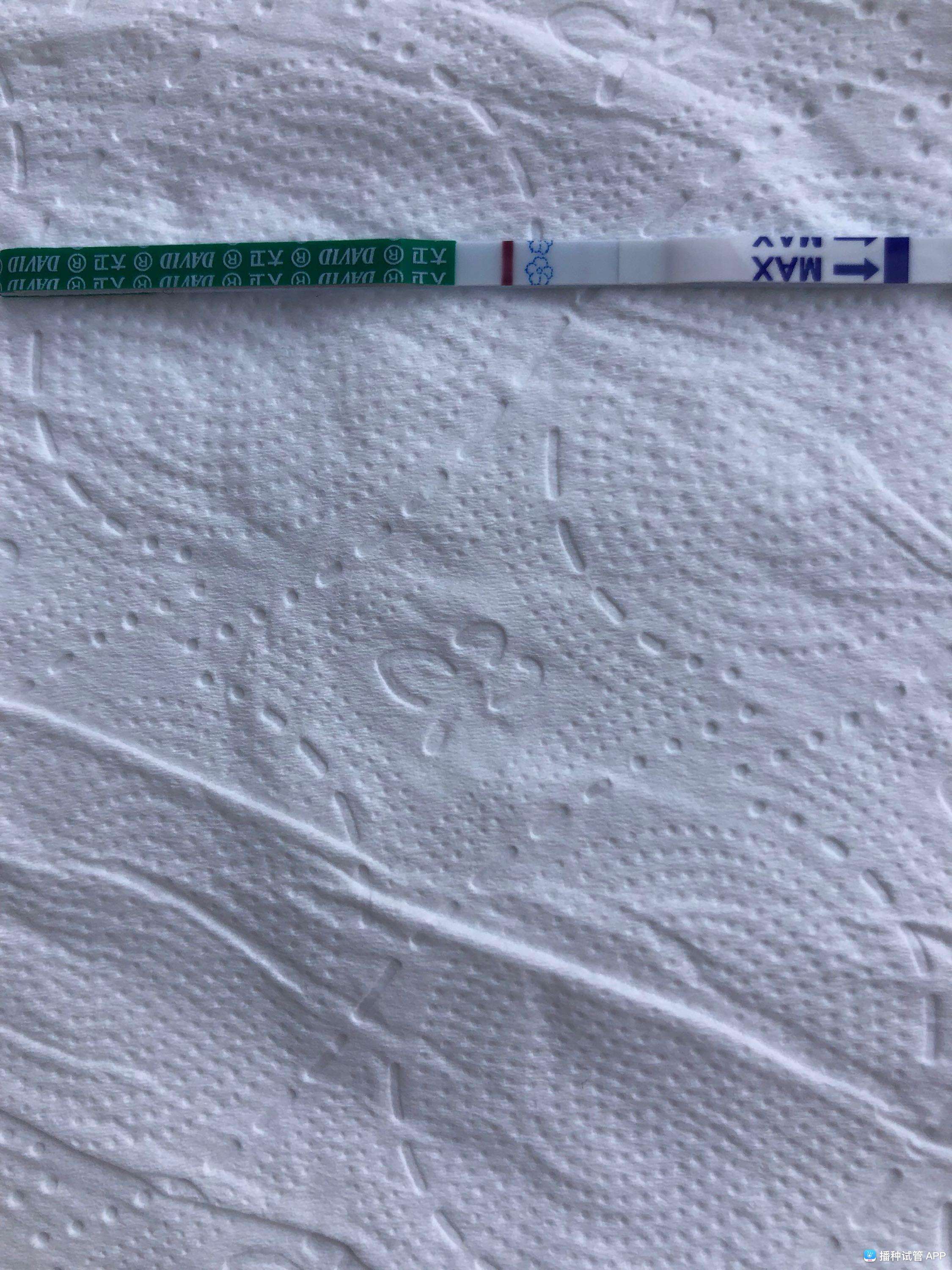 试管婴儿第六天(试管移植第六天能测出来吗)