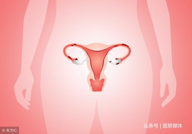 试管婴儿做试管婴儿 试管婴儿做试管婴儿