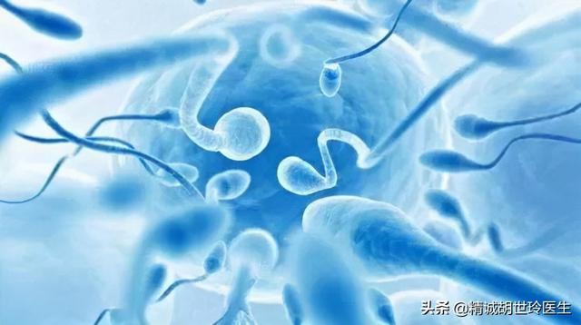 试管婴儿抗剂方案 试管婴儿抗剂方案