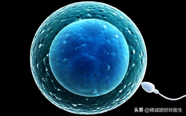 试管婴儿抗剂方案 试管婴儿抗剂方案