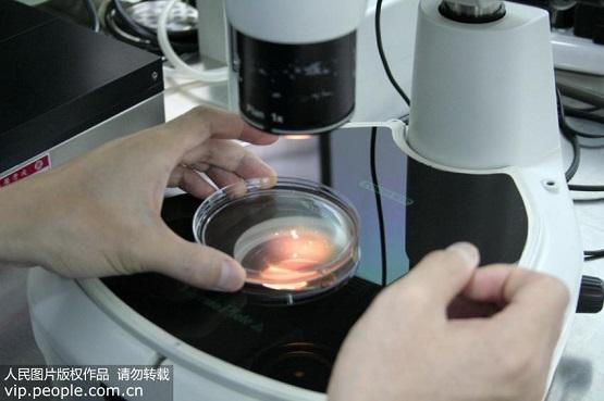 试管婴儿第十二天三次试管失败后人崩溃了