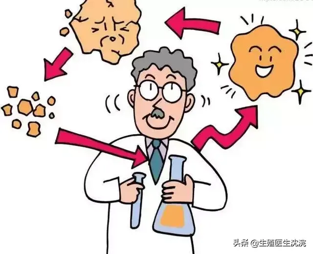 试管婴儿的发展 试管婴儿的发展