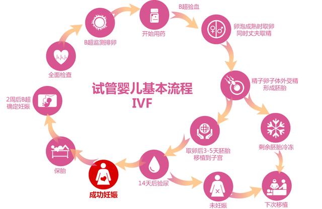 欣试管婴儿 欣试管婴儿