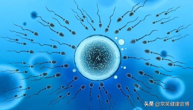 试管婴儿不成功 试管婴儿不成功