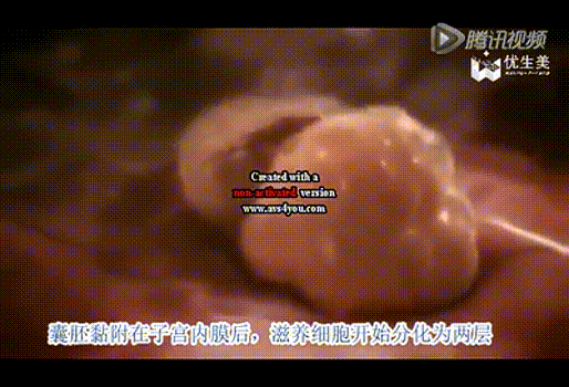 试管婴儿后血值 试管婴儿后血值