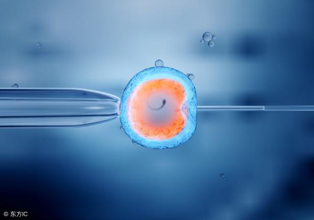 试管婴儿养胎(8大特征暗示你已经着床成功)