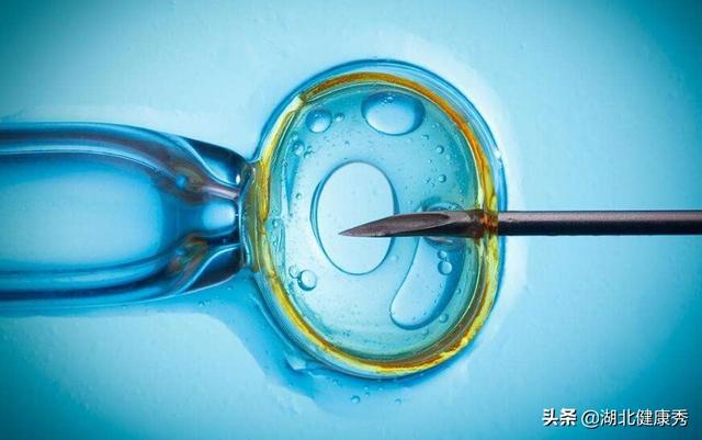 湖北做试管婴儿费用武汉做试管哪个医院好