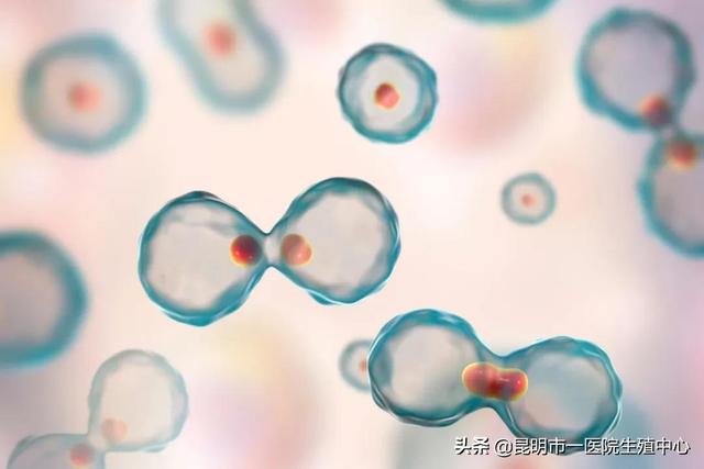 想做试管婴儿前期准备试管婴儿总费用