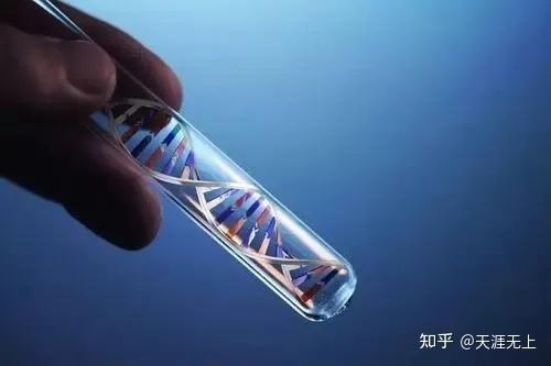 试管婴儿的超长方案(做试管什么叫改良方案)