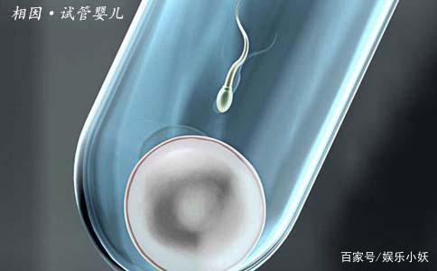 试试管婴儿的具体步骤