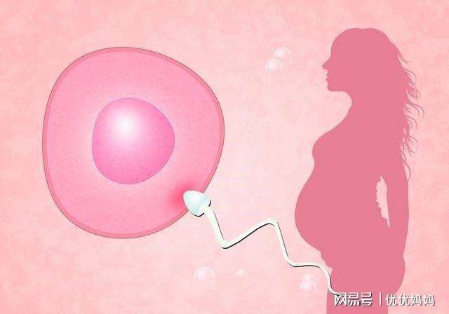 河北省试管婴儿(做试管婴儿的全部流程)