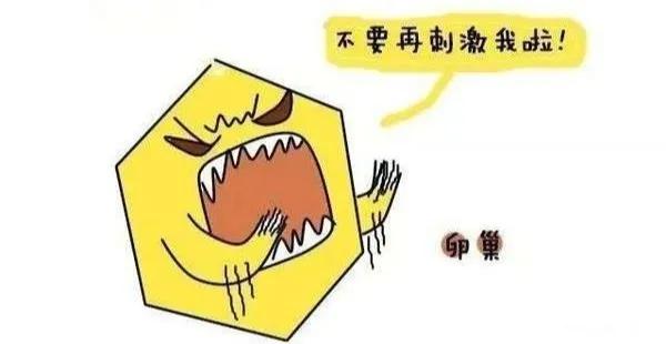 试管婴儿胖 试管婴儿胖