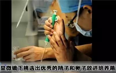 试管婴儿最全详细流程