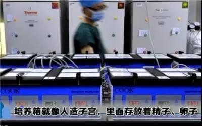 试管婴儿最全详细流程