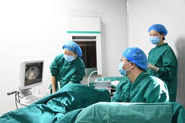 试管婴儿胚胎成功 试管婴儿胚胎成功
