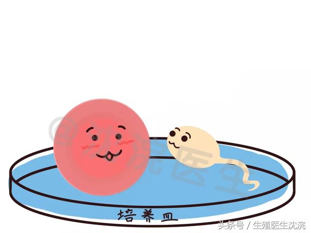 一次试管婴儿 一次试管婴儿